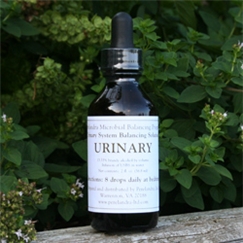 MBP Urinary System Balancing Solution – Water in Brandy or Vinegar