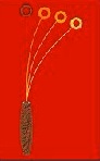 VIBRASCOPE�� Dowsing made easy