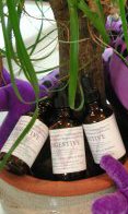 2-oz. MBP Digestive System Balancing Solution (56.8ml)