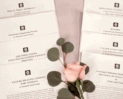 FLOWER ESSENCES by Machaelle Small Wright