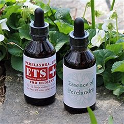 2-Bottle Combo: ETS for Humans and Essence of Perelandra (EoP); each 2-oz.