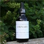 MBP Urinary System Balancing Solution – Water in Brandy or Vinegar
