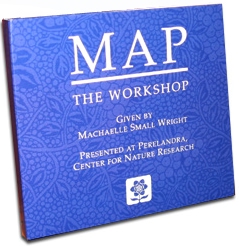 DVDs: MAP - The Workshop; 3 discs
