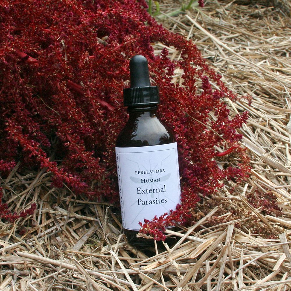 HUMAN EXTERNAL PARASITES – Water in Brandy or Vinegar 2-oz./59ml
