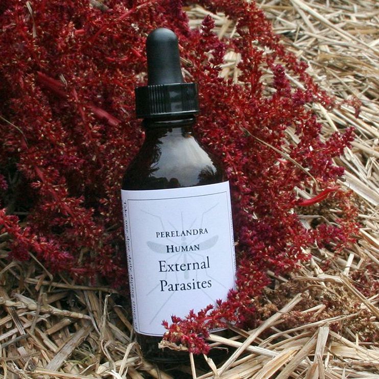 HUMAN EXTERNAL PARASITES – Water in Brandy or Vinegar 2-oz./59ml
