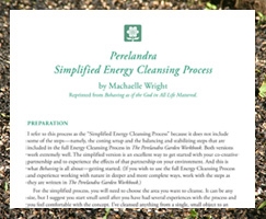 Perelandra Simplified Energy Cleansing Process